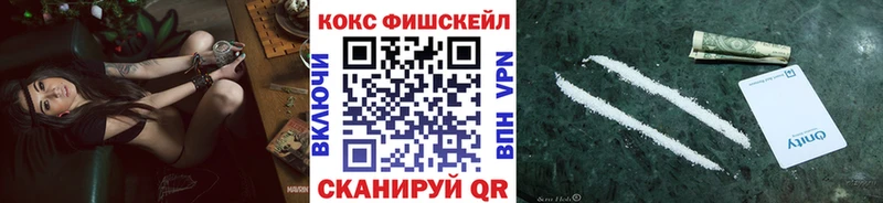купить закладку  Отрадная  COCAIN Эквадор 