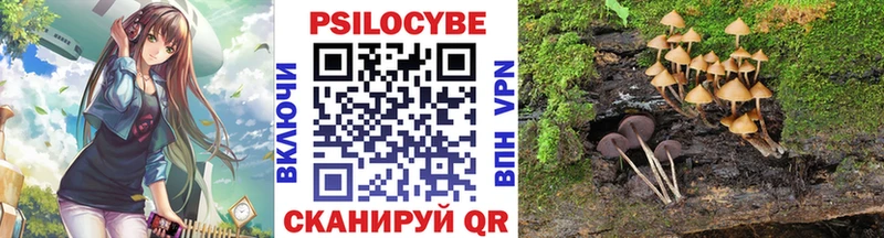 kraken ссылки  Отрадная  Галлюциногенные грибы прущие грибы 